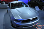 mustang_autoshow_j9.jpg (122kb)
