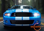 shelby_gt500_d8.jpg (156kb)