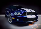 shelby_gt500_i7.jpg (117kb)