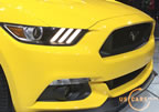 15_mustang_detroit_h3.jpg (142kb)