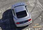 2015_mustang_ingot_b6.jpg (255kb)