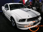 shelby_gt_a.jpg (68kb)