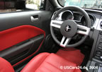 2005_mustang_p9.JPG (120kb)