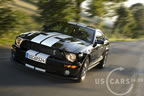 shelby_a_3.jpg (108kb)