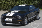 shelby_b_2.jpg (136kb)