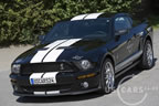 shelby_b_3.jpg (139kb)