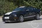 shelby_b_4.jpg (142kb)