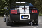 shelby_c_6.jpg (106kb)