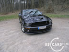 shelby_e_4.jpg (75kb)