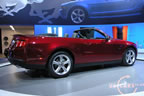 mustang_autoshow_b4.jpg (124kb)