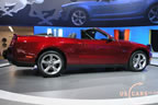mustang_autoshow_b5.jpg (118kb)