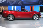 mustang_autoshow_b6.jpg (126kb)