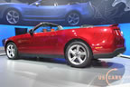 mustang_autoshow_d7.jpg (131kb)