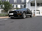 Shelby_077 (50kb)