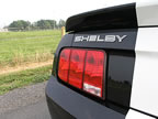 Shelby_103 (42kb)