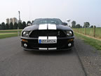 Shelby_105 (38kb)