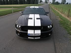 Shelby_107 (45kb)