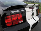 Shelby_131 (43kb)