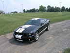 Shelby_140 (47kb)
