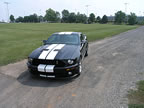 Shelby_142 (47kb)