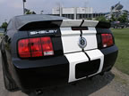 Shelby_149 (44kb)