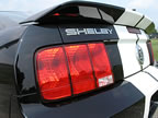 Shelby_150 (46kb)