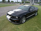 Shelby_153 (60kb)