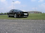 Shelby_154 (45kb)