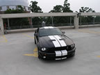 Shelby_163 (40kb)