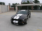Shelby_165 (41kb)