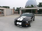 Shelby_166 (39kb)